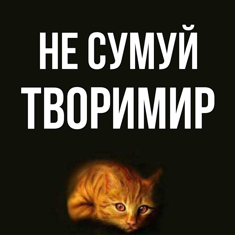 Открытка на каждый день з підписом, Творимир Не сумуй лежащий кот в темноте Прикольна листівка з побажанням онлайн скачати безкоштовно 