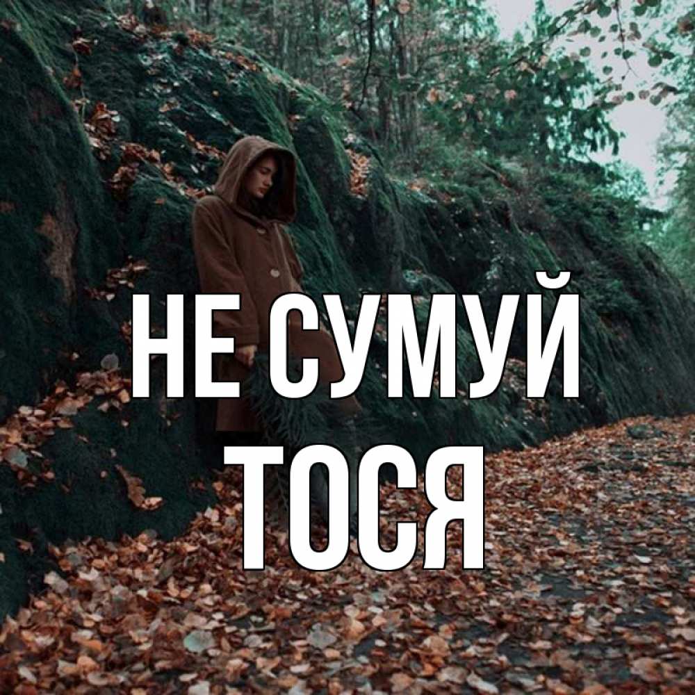 Открытка на каждый день з підписом, Тося Не сумуй осенний лес Прикольна листівка з побажанням онлайн скачати безкоштовно 