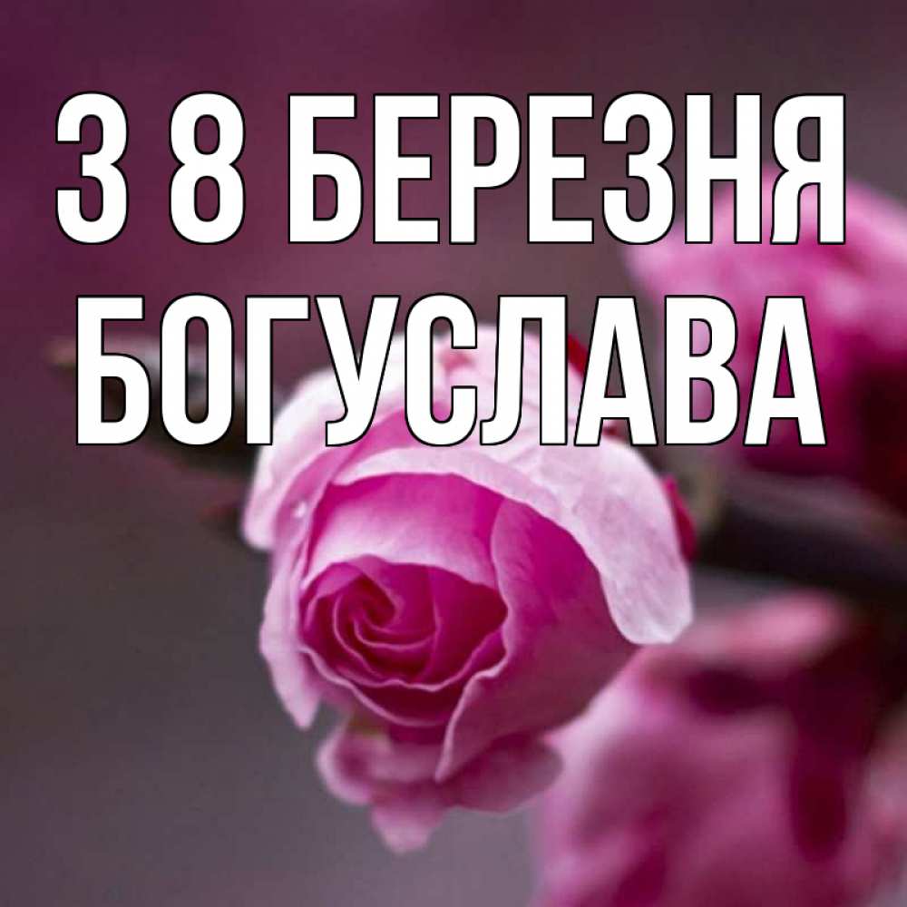 Открытка на каждый день з підписом, Богуслава З 8 БЕРЕЗНЯ весна Прикольна листівка з побажанням онлайн скачати безкоштовно 