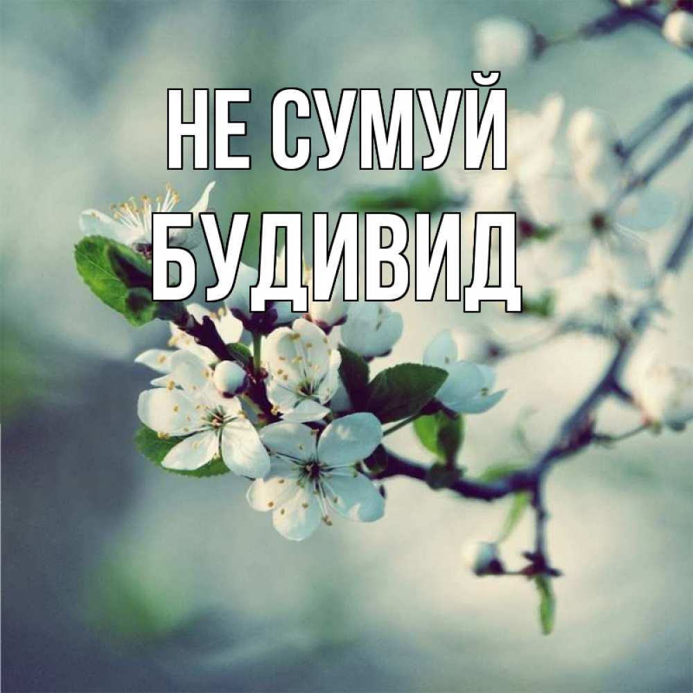 Открытка на каждый день з підписом, Будивид Не сумуй яблоня в цвету 1 Прикольна листівка з побажанням онлайн скачати безкоштовно 