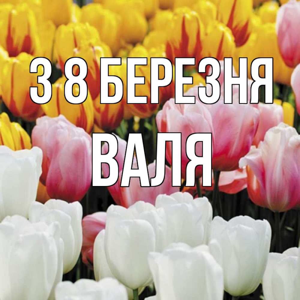 Открытка на каждый день з підписом, Валя З 8 БЕРЕЗНЯ разноцветные цветы Прикольна листівка з побажанням онлайн скачати безкоштовно 