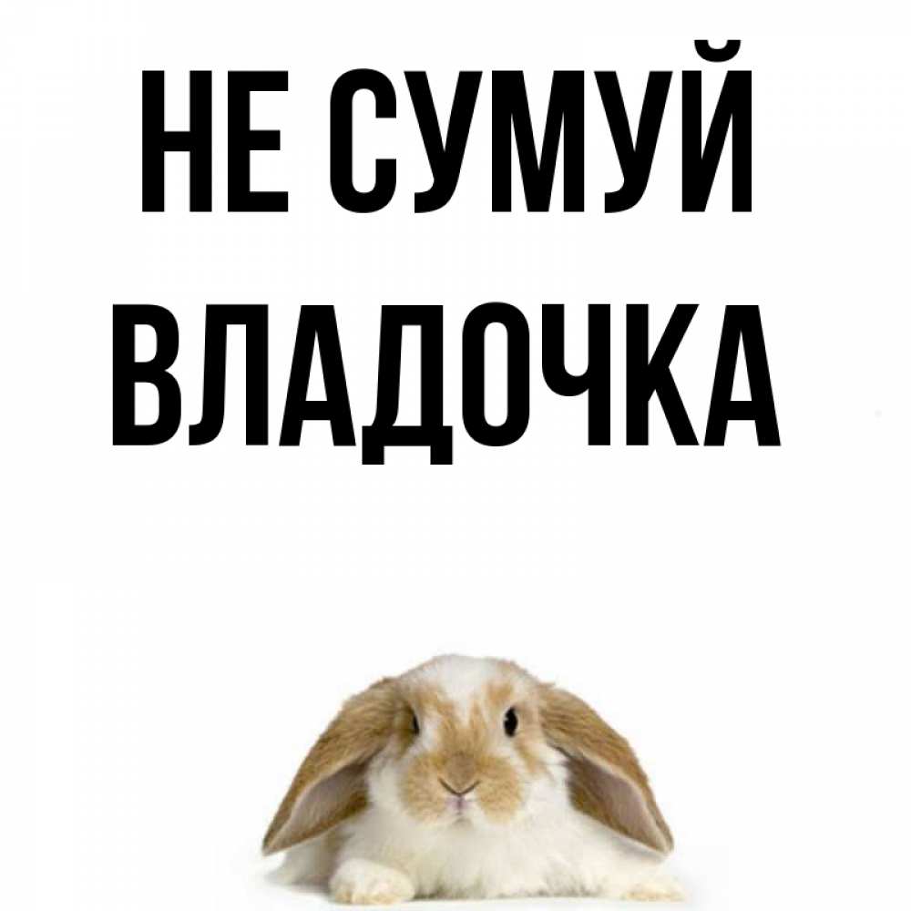 Открытка на каждый день з підписом, Владочка Не сумуй коричнево белый заяц с большими ушками Прикольна листівка з побажанням онлайн скачати безкоштовно 