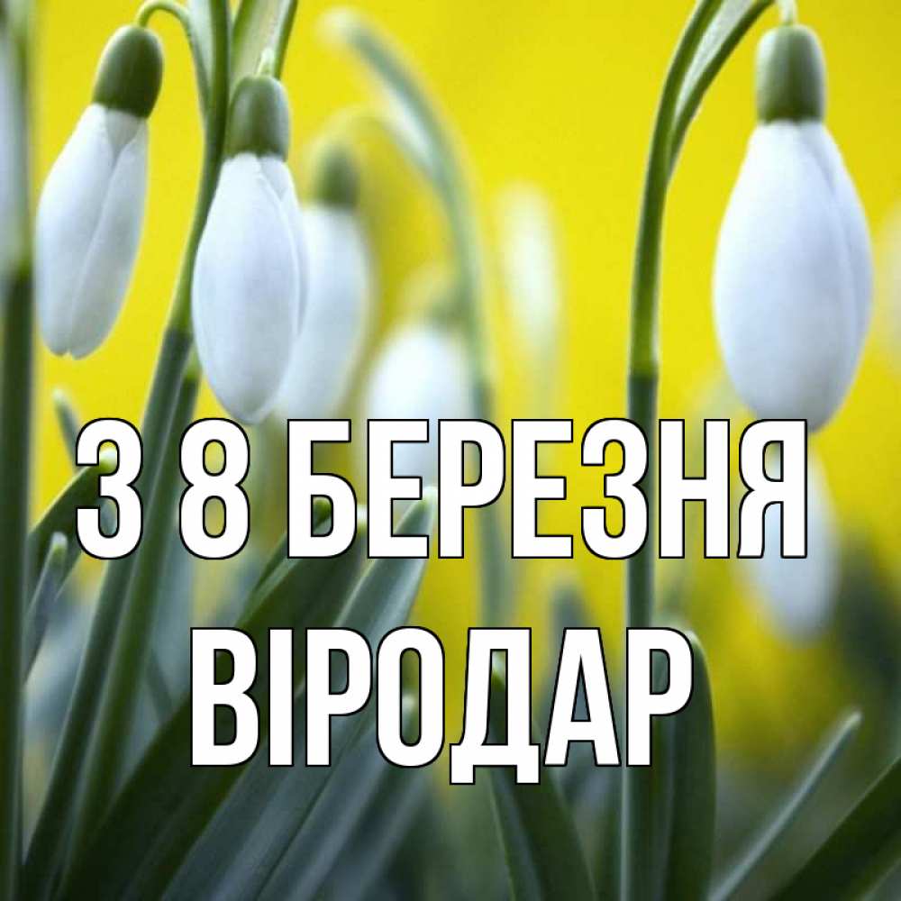 Открытка на каждый день з підписом, Віродар З 8 БЕРЕЗНЯ весенние цветы Прикольна листівка з побажанням онлайн скачати безкоштовно 