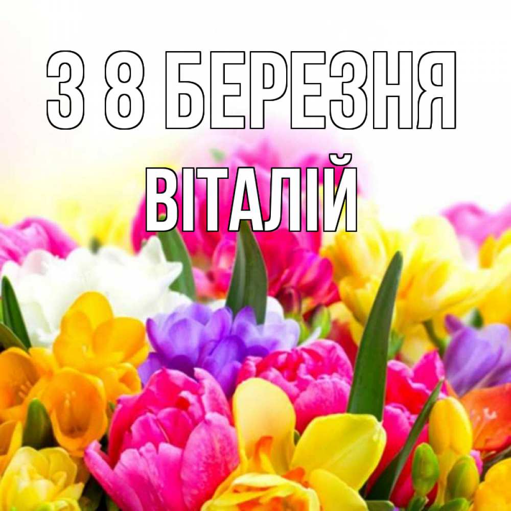 Открытка на каждый день з підписом, Віталій З 8 БЕРЕЗНЯ тюльпаны Прикольна листівка з побажанням онлайн скачати безкоштовно 