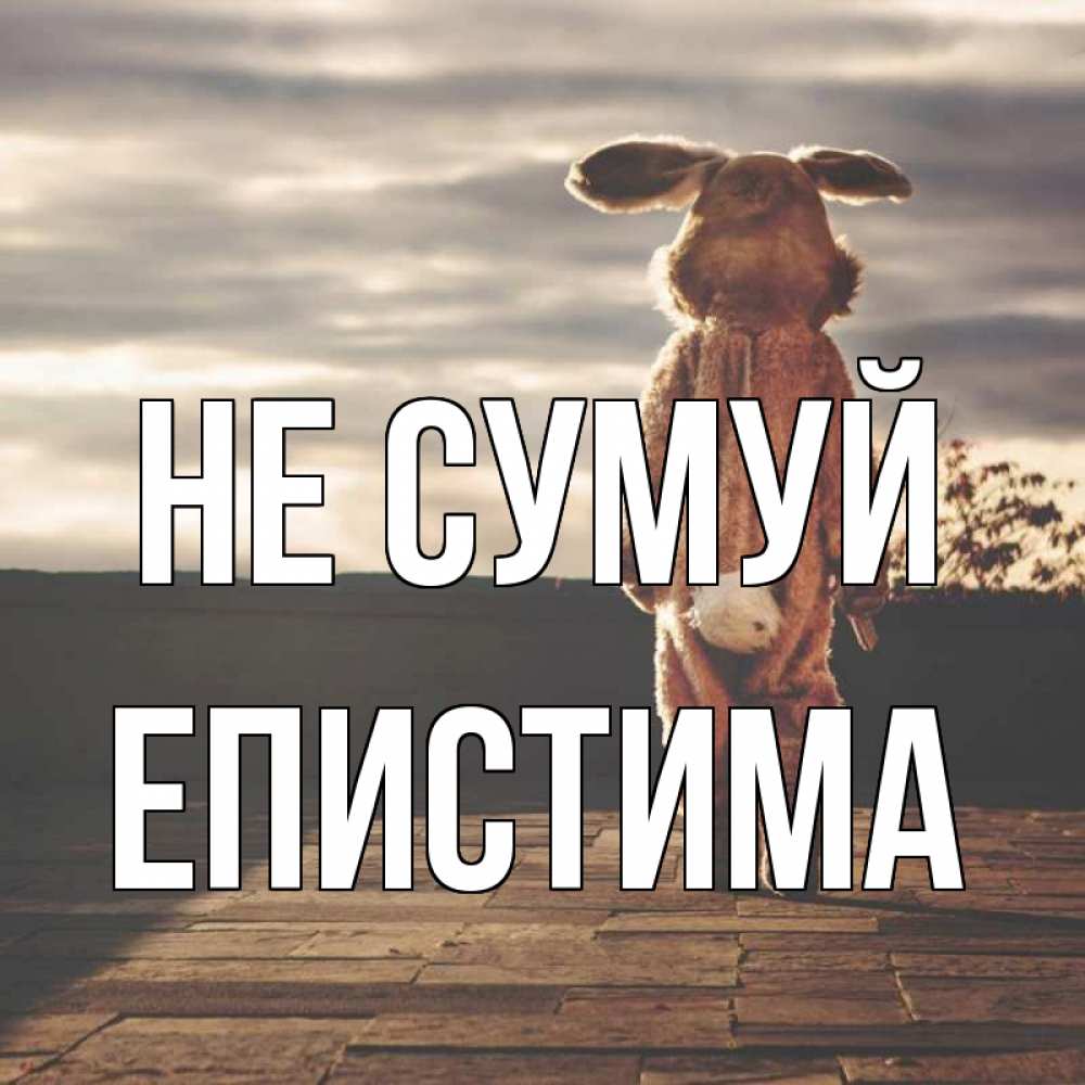 Открытка на каждый день з підписом, Епистима Не сумуй со спины Прикольна листівка з побажанням онлайн скачати безкоштовно 