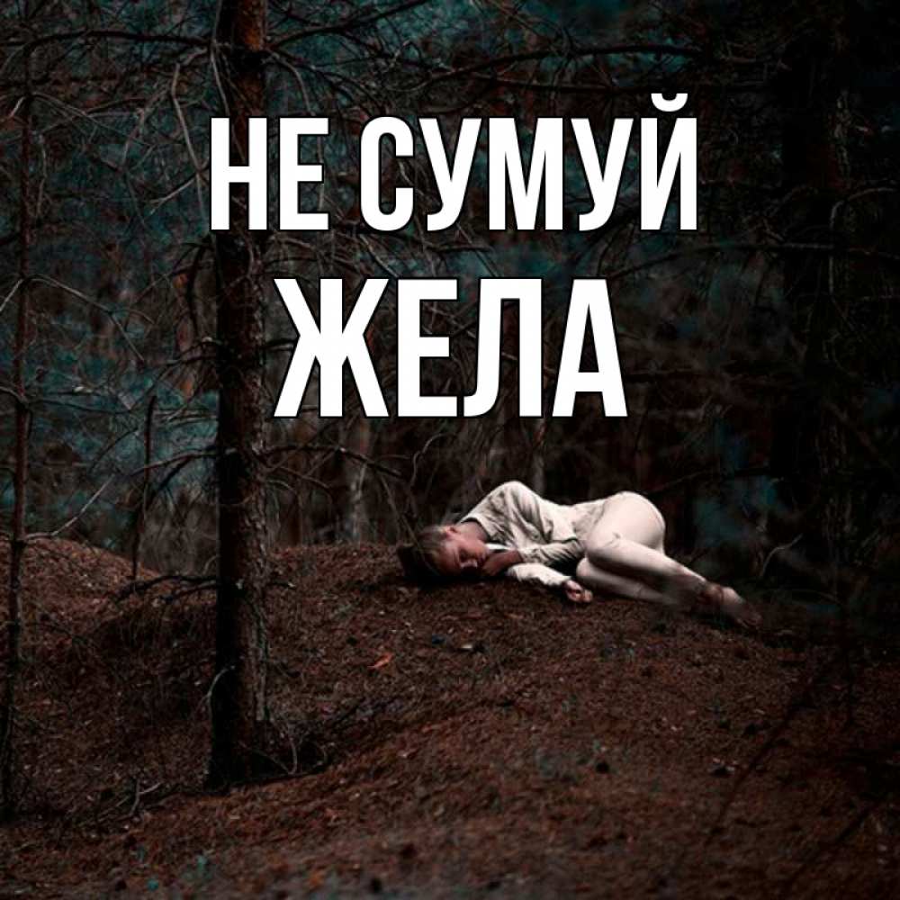 Открытка на каждый день з підписом, Жела Не сумуй лес Прикольна листівка з побажанням онлайн скачати безкоштовно 