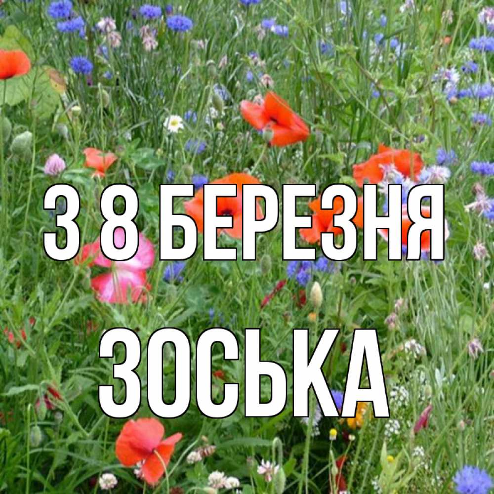 Открытка на каждый день з підписом, Зоська З 8 БЕРЕЗНЯ международный женский день 4 Прикольна листівка з побажанням онлайн скачати безкоштовно 
