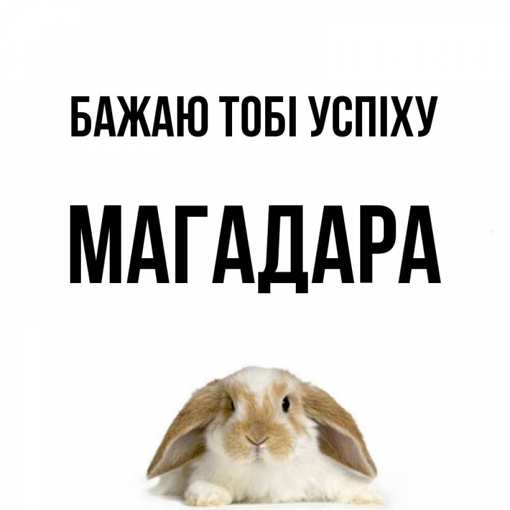 Открытка на каждый день з підписом, Магадара Бажаю тобі успіху открытки с произвольным текстом который можно вставить в открытку и создать ее самостоятельно бесплатно онлайн Прикольна листівка з побажанням онлайн скачати безкоштовно 