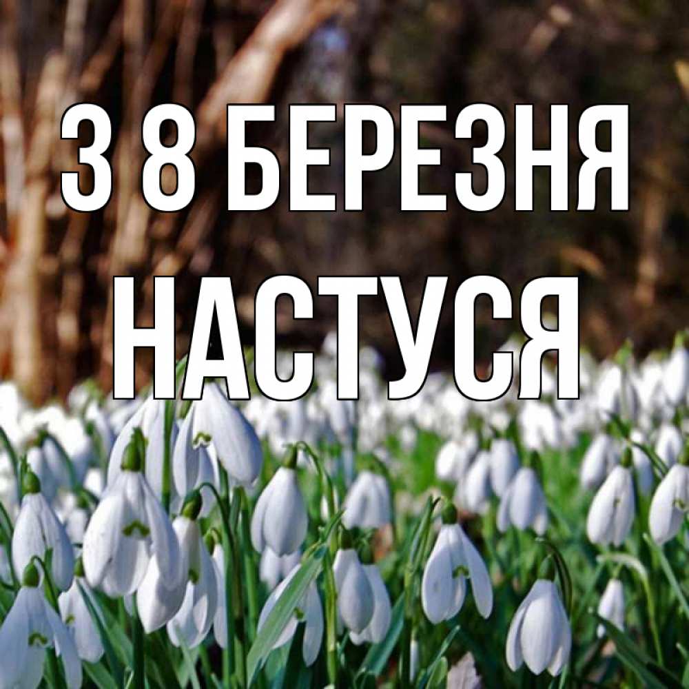 Открытка на каждый день з підписом, Настуся З 8 БЕРЕЗНЯ с подснежниками 1 Прикольна листівка з побажанням онлайн скачати безкоштовно 