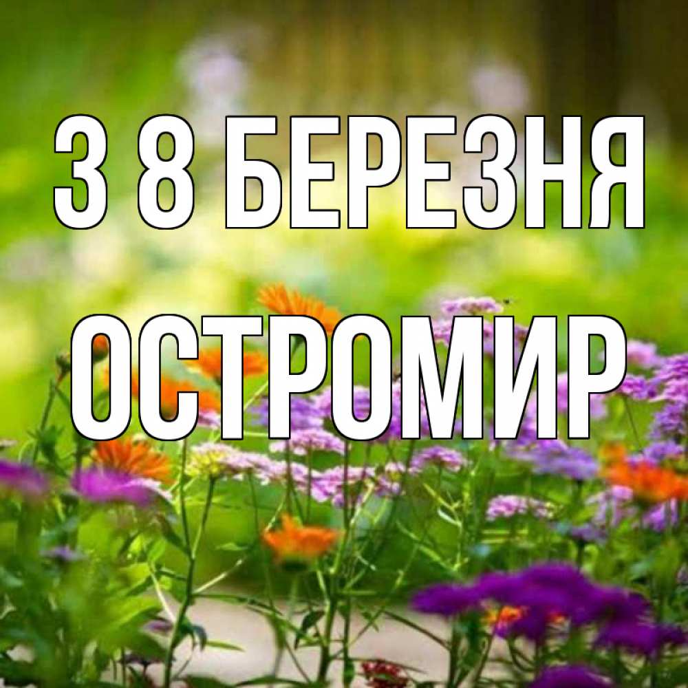 Открытка на каждый день з підписом, Остромир З 8 БЕРЕЗНЯ цветы Прикольна листівка з побажанням онлайн скачати безкоштовно 