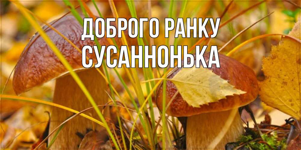Открытка на каждый день з підписом, Сусаннонька Доброго ранку осенние грибы Прикольна листівка з побажанням онлайн скачати безкоштовно 