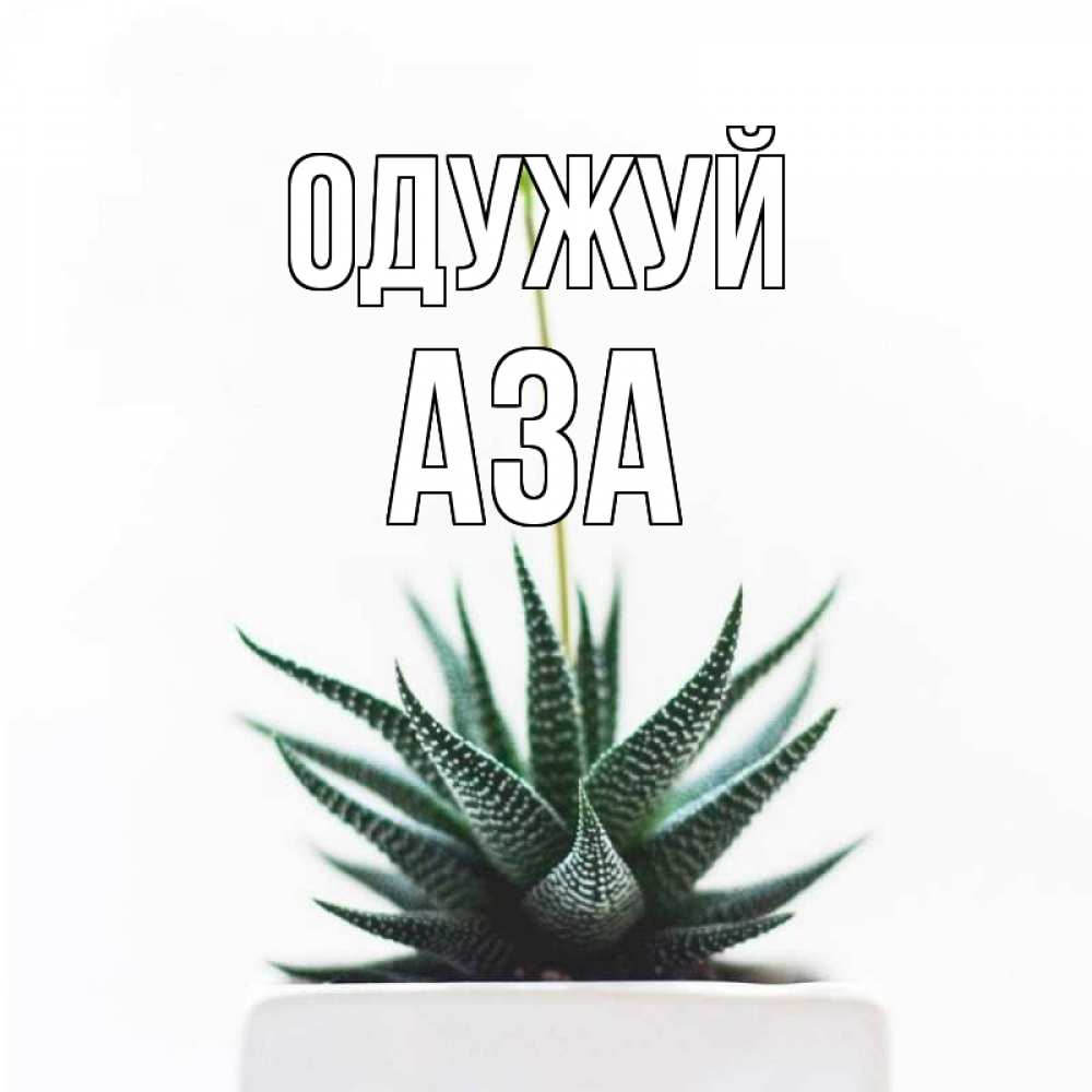 Открытка на каждый день з підписом, Аза Одужуй короче это непонятная колючка Прикольна листівка з побажанням онлайн скачати безкоштовно 
