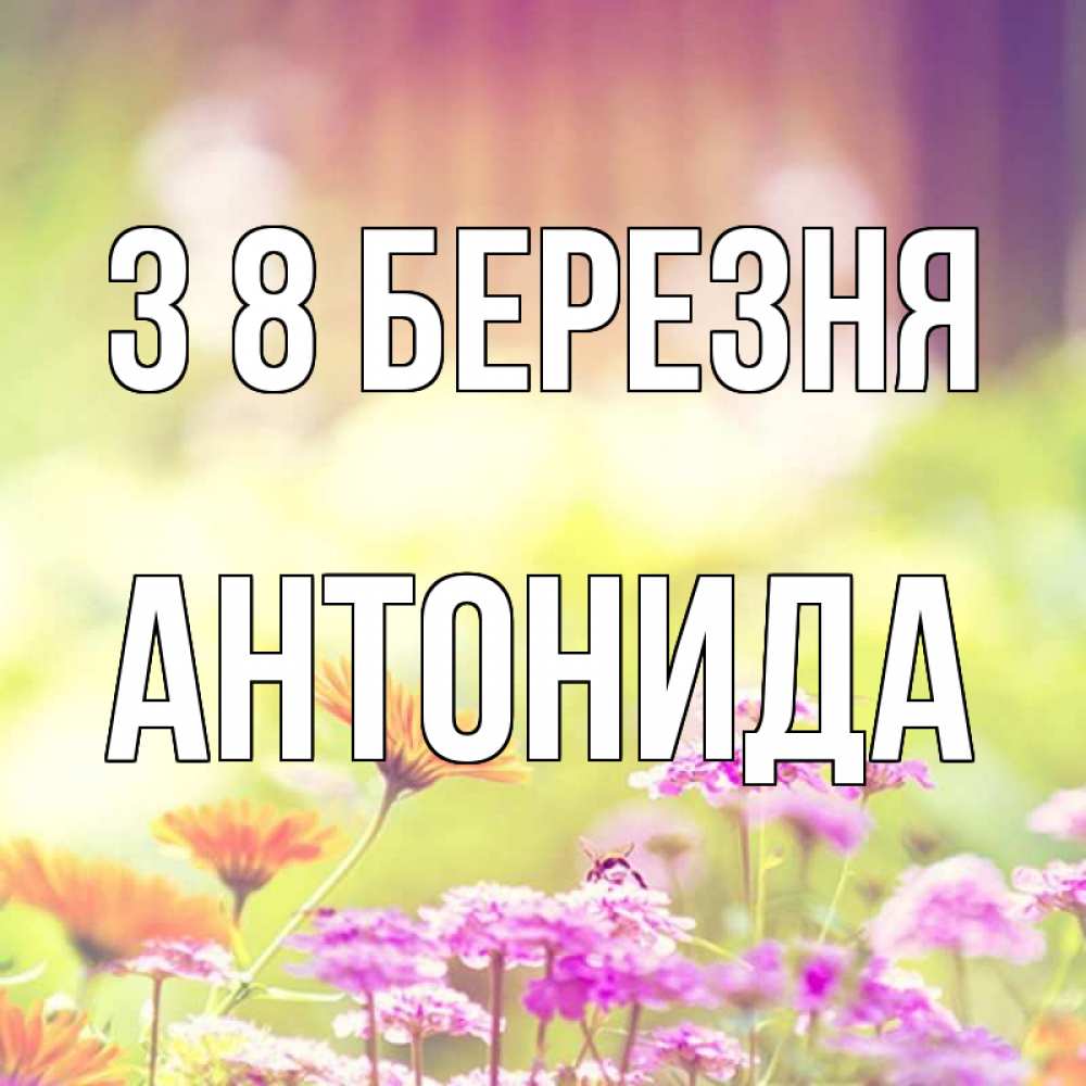Открытка на каждый день з підписом, Антонида З 8 БЕРЕЗНЯ цветы весна Прикольна листівка з побажанням онлайн скачати безкоштовно 