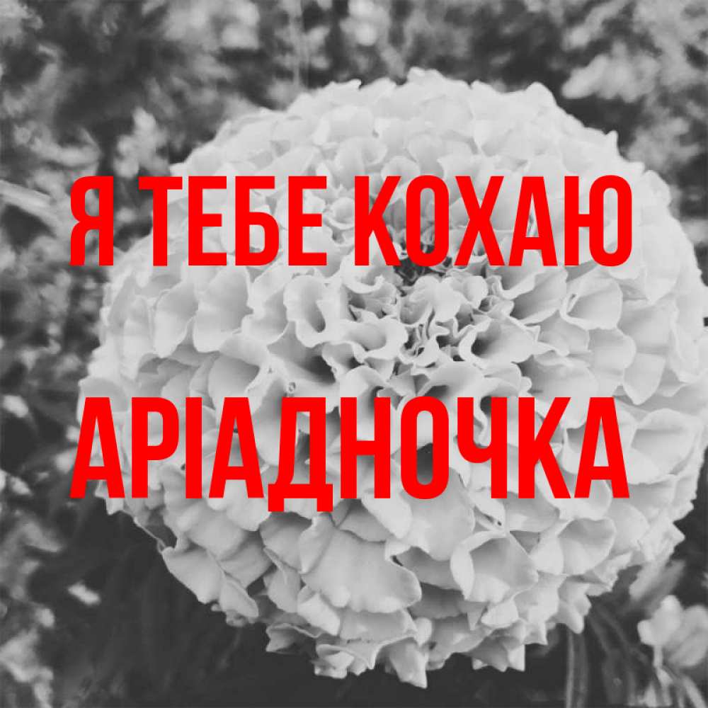 Открытка на каждый день з підписом, Аріадночка Я тебе кохаю подпись Прикольна листівка з побажанням онлайн скачати безкоштовно 