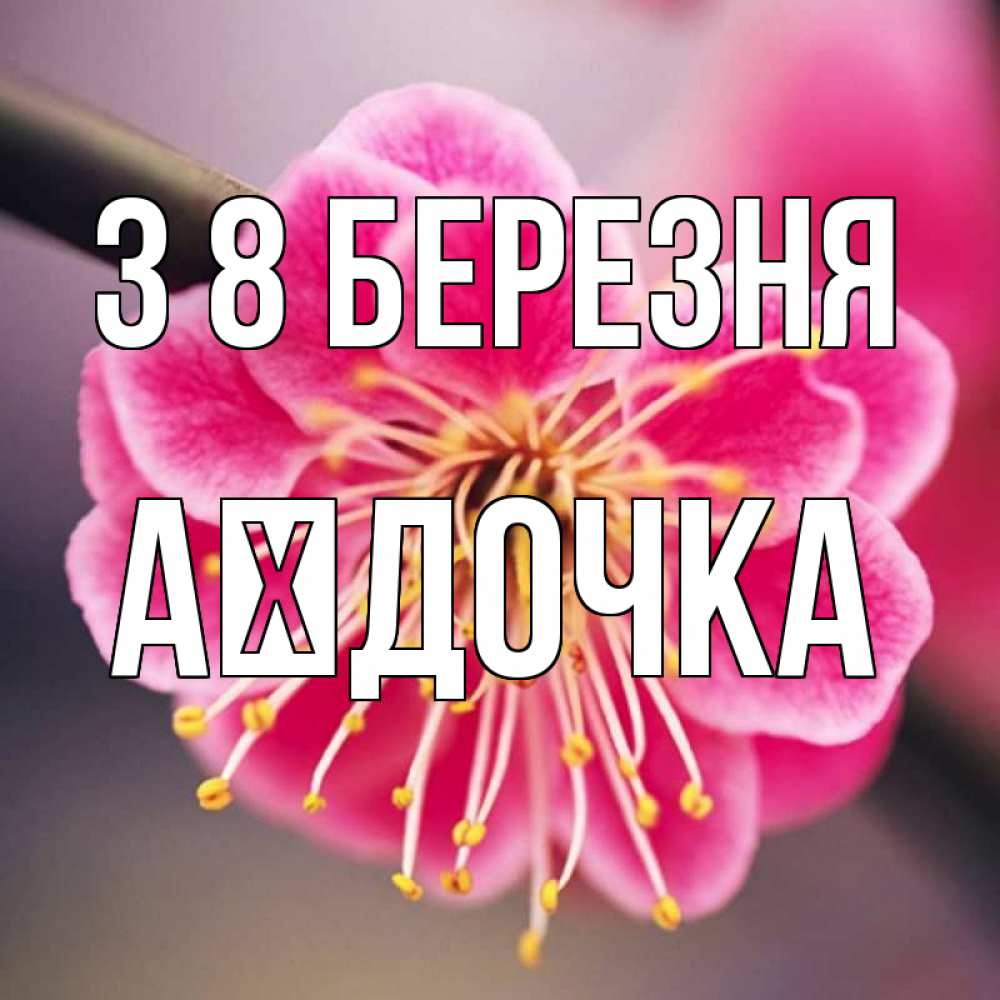 Открытка на каждый день з підписом, Аїдочка З 8 БЕРЕЗНЯ цветы Прикольна листівка з побажанням онлайн скачати безкоштовно 