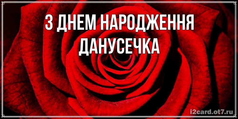 Открытка на каждый день з підписом, Данусечка З Днем народження алая роза Прикольна листівка з побажанням онлайн скачати безкоштовно 