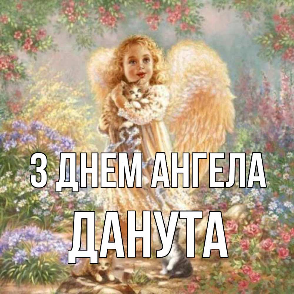 Открытка на каждый день з підписом, Данута З Днем ангела держит котенка Прикольна листівка з побажанням онлайн скачати безкоштовно 