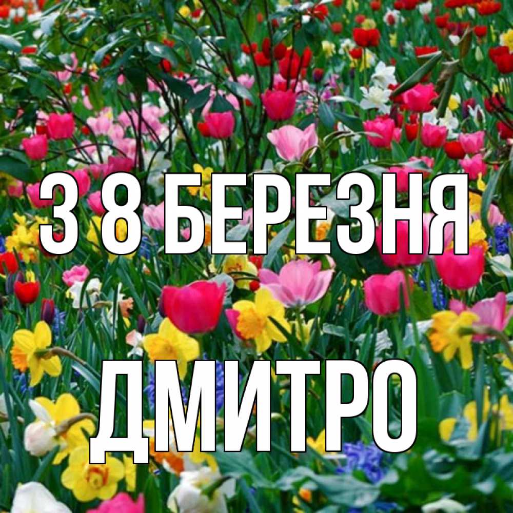 Открытка на каждый день з підписом, Дмитро З 8 БЕРЕЗНЯ с международным женским днем поздравления для женщины Прикольна листівка з побажанням онлайн скачати безкоштовно 