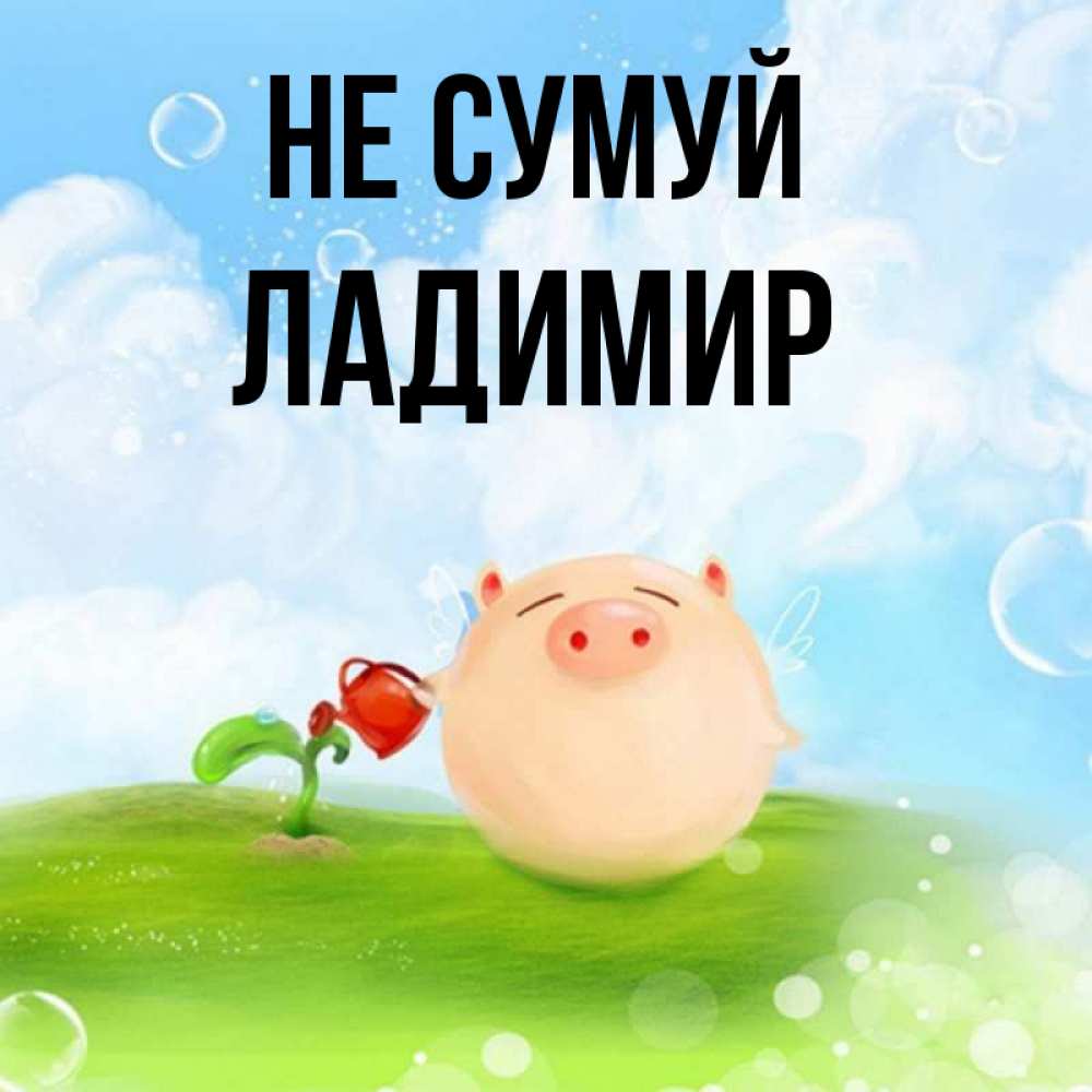 Открытка на каждый день з підписом, Ладимир Не сумуй поливает цветок порося Прикольна листівка з побажанням онлайн скачати безкоштовно 