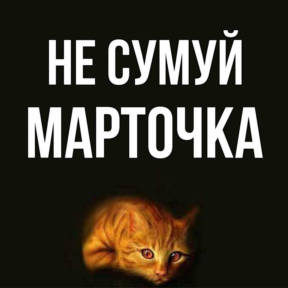 Открытка на каждый день з підписом, Марточка Не сумуй лежащий кот в темноте Прикольна листівка з побажанням онлайн скачати безкоштовно 