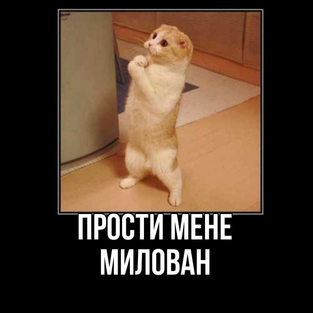 Открытка на каждый день з підписом, Милован Прости мене открытка с милым несчастным котиком просящим прощения Прикольна листівка з побажанням онлайн скачати безкоштовно 