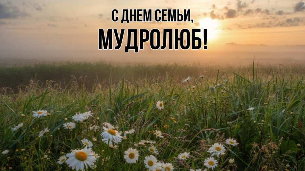 Открытка на каждый день з підписом, Мудролюб С днем семьи с днем семьи Прикольна листівка з побажанням онлайн скачати безкоштовно 