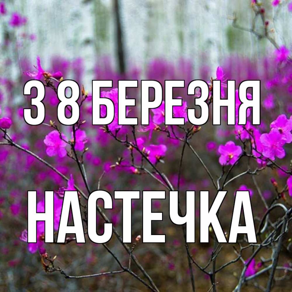 Открытка на каждый день з підписом, Настечка З 8 БЕРЕЗНЯ дикие цветы Прикольна листівка з побажанням онлайн скачати безкоштовно 
