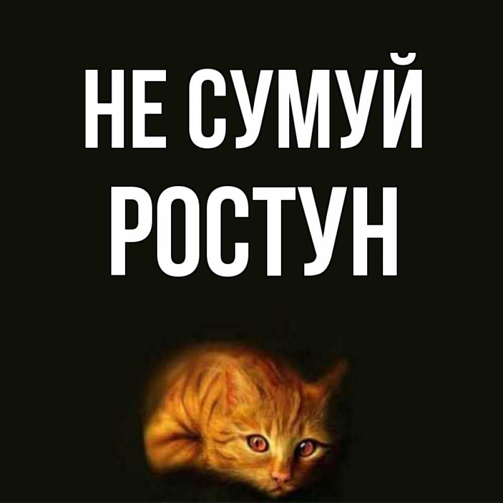 Открытка на каждый день з підписом, Ростун Не сумуй лежащий кот в темноте Прикольна листівка з побажанням онлайн скачати безкоштовно 