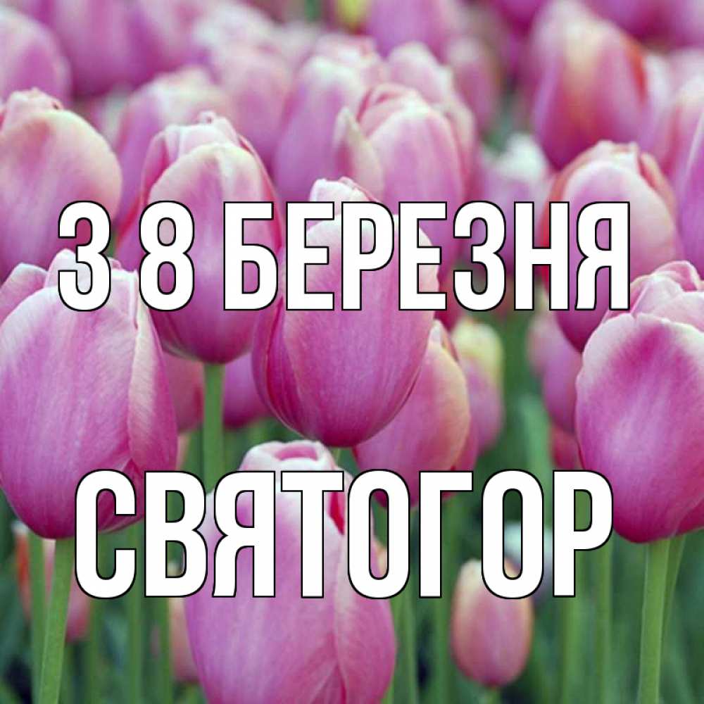 Открытка на каждый день з підписом, Святогор З 8 БЕРЕЗНЯ на международный женский день 3 Прикольна листівка з побажанням онлайн скачати безкоштовно 