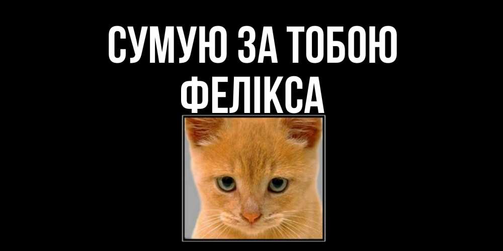 Открытка на каждый день з підписом, Фелікса Сумую за тобою открытки рыжий котенок скучает по тебе Прикольна листівка з побажанням онлайн скачати безкоштовно 