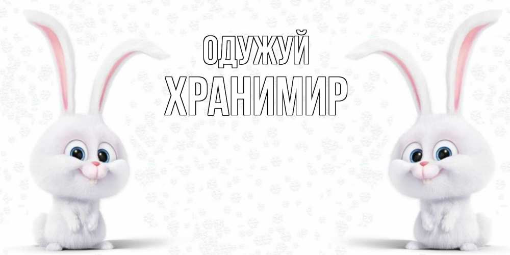 Открытка на каждый день з підписом, Хранимир Одужуй не болей с зайцем Прикольна листівка з побажанням онлайн скачати безкоштовно 