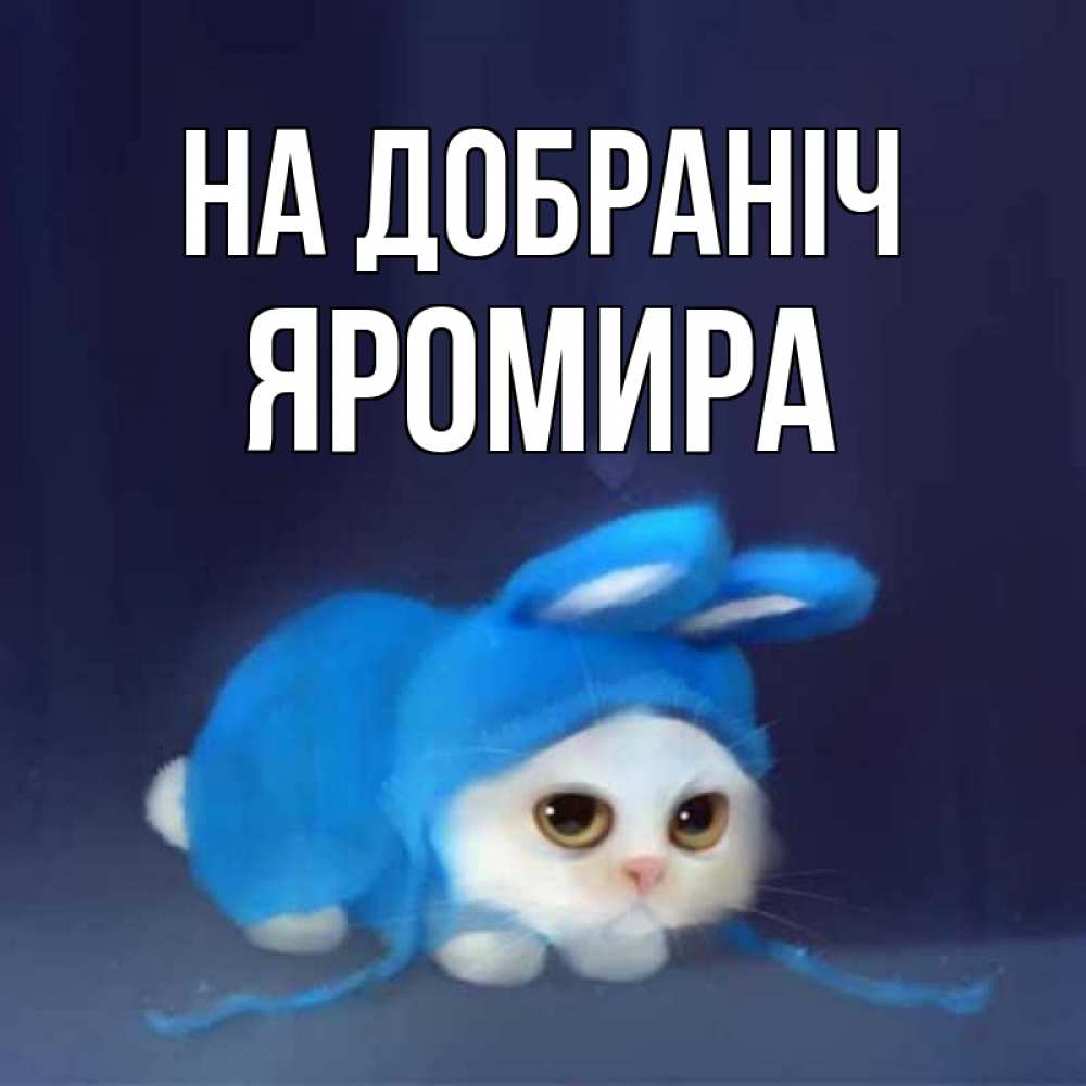 Открытка на каждый день з підписом, Яромира На добраніч кот в голубом костюме кролика с ушками Прикольна листівка з побажанням онлайн скачати безкоштовно 