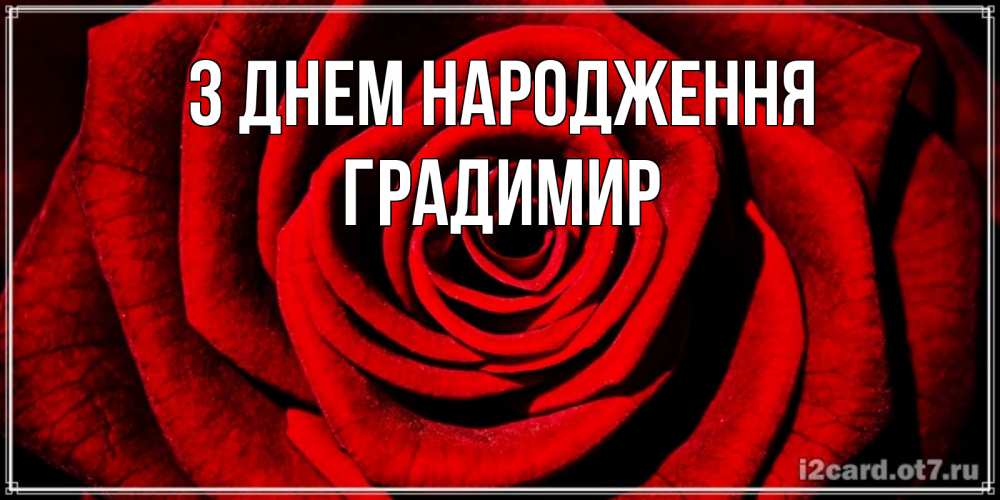 Открытка на каждый день з підписом, Градимир З Днем народження алая роза Прикольна листівка з побажанням онлайн скачати безкоштовно 