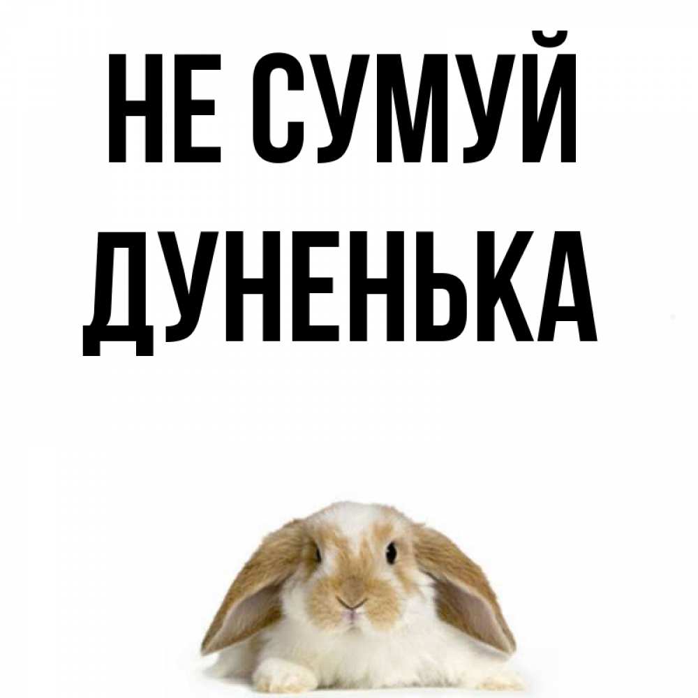 Открытка на каждый день з підписом, Дуненька Не сумуй коричнево белый заяц с большими ушками Прикольна листівка з побажанням онлайн скачати безкоштовно 
