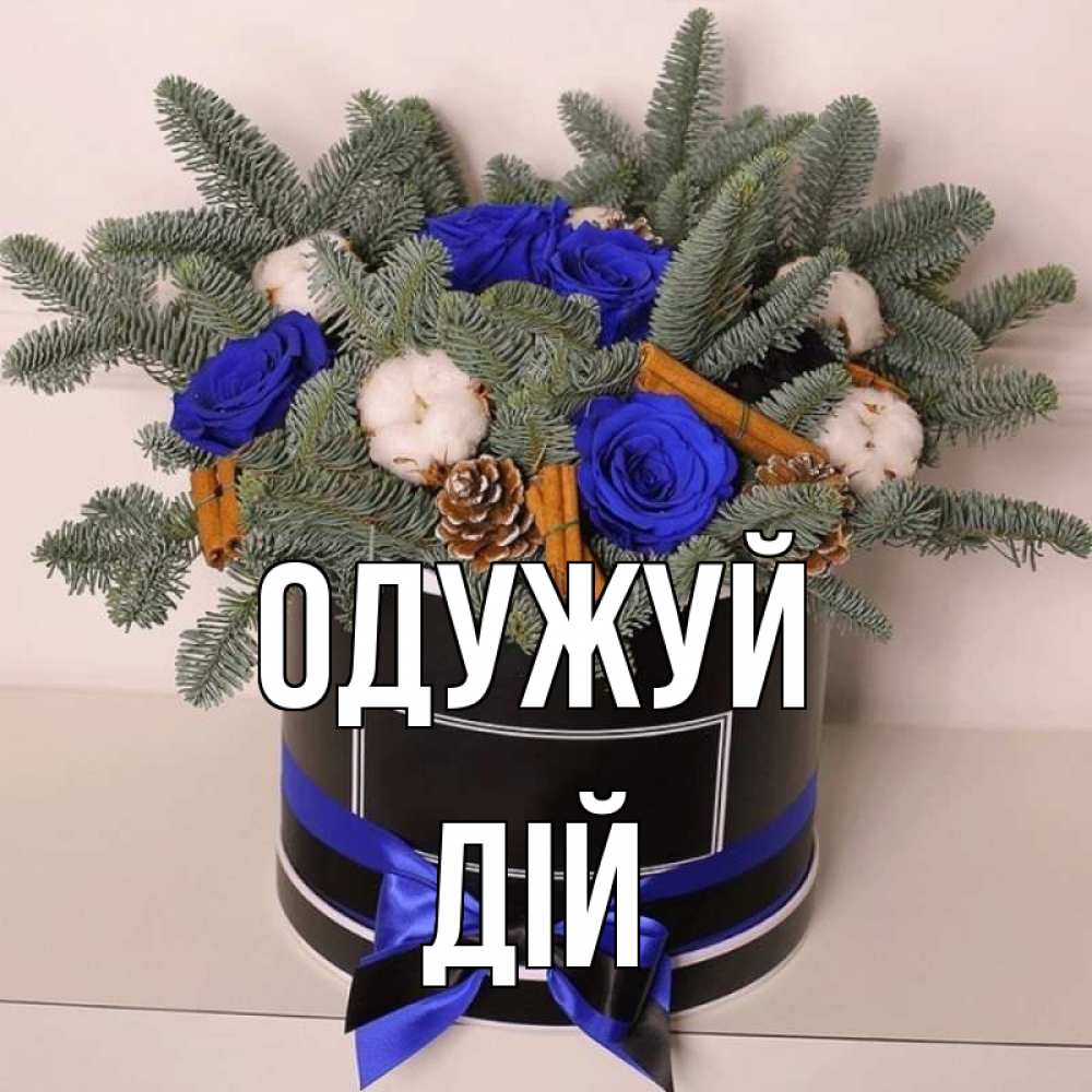 Открытка на каждый день з підписом, Дій Одужуй короче кто то загрузил эти шишки Прикольна листівка з побажанням онлайн скачати безкоштовно 