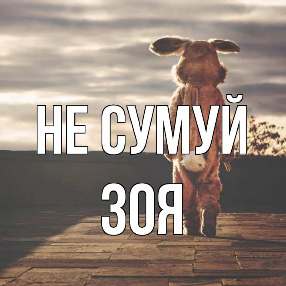 Открытка на каждый день з підписом, Зоя Не сумуй со спины Прикольна листівка з побажанням онлайн скачати безкоштовно 