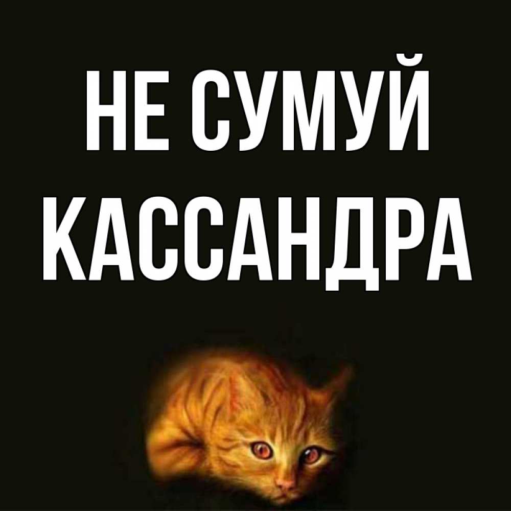 Открытка на каждый день з підписом, Кассандра Не сумуй лежащий кот в темноте Прикольна листівка з побажанням онлайн скачати безкоштовно 