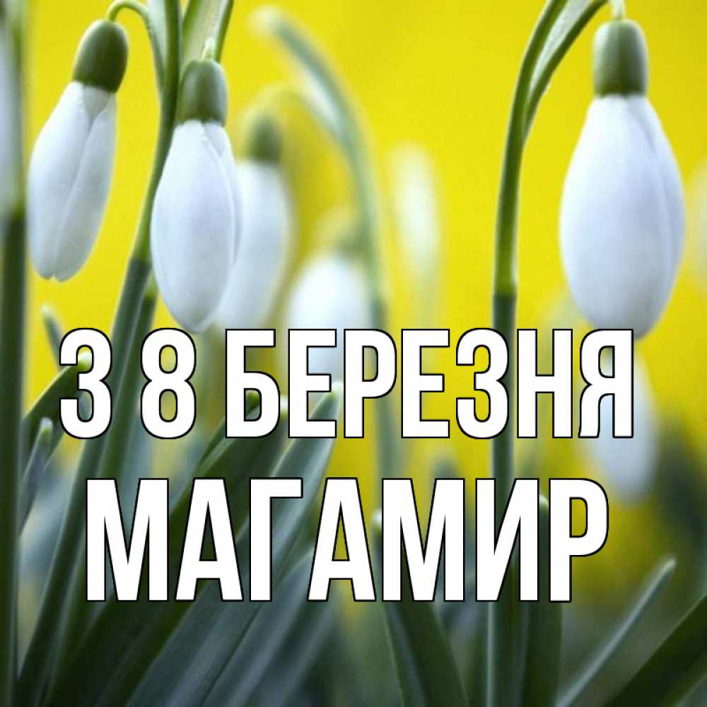 Открытка на каждый день з підписом, Магамир З 8 БЕРЕЗНЯ весенние цветы Прикольна листівка з побажанням онлайн скачати безкоштовно 