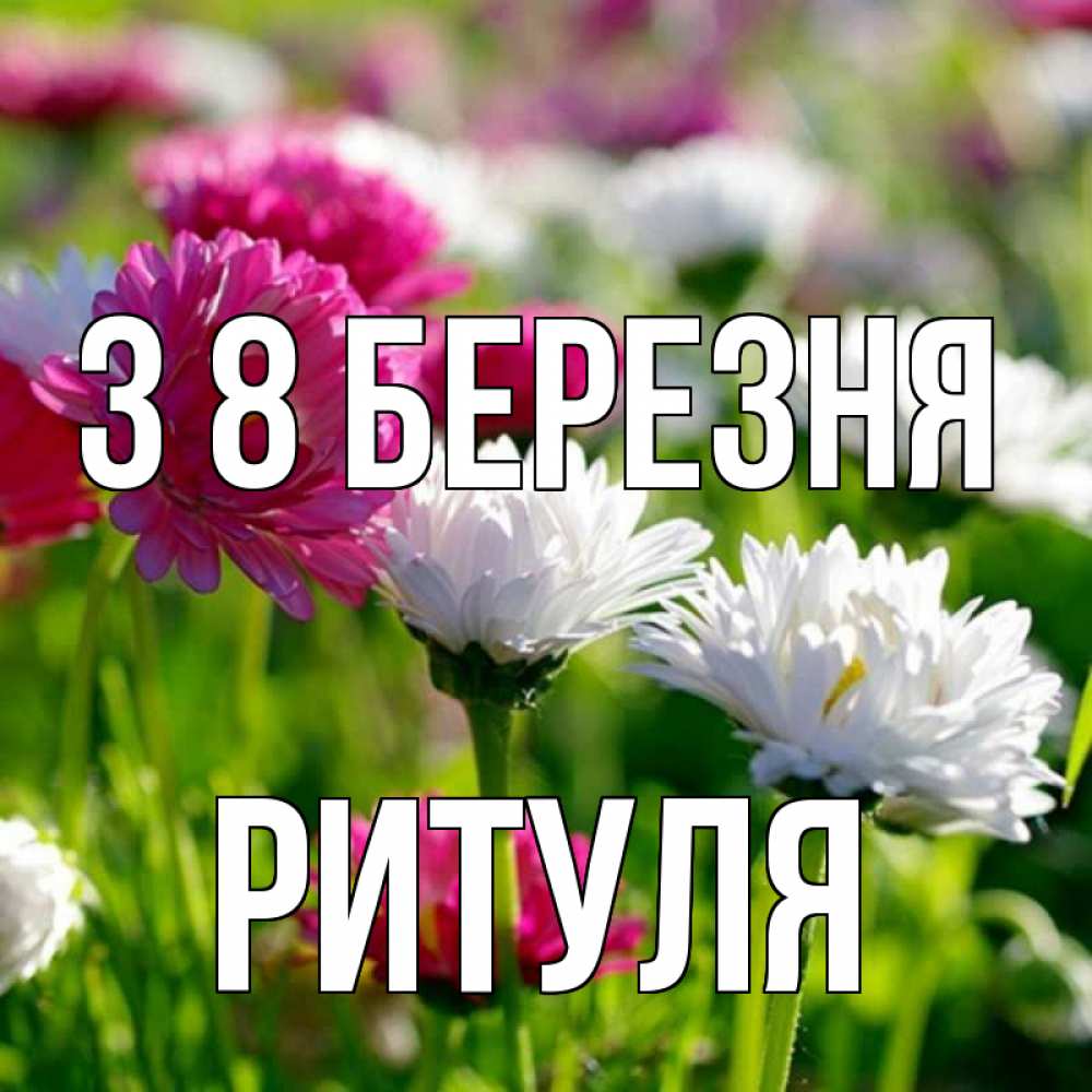 Открытка на каждый день з підписом, Ритуля З 8 БЕРЕЗНЯ международный женский день 1 Прикольна листівка з побажанням онлайн скачати безкоштовно 