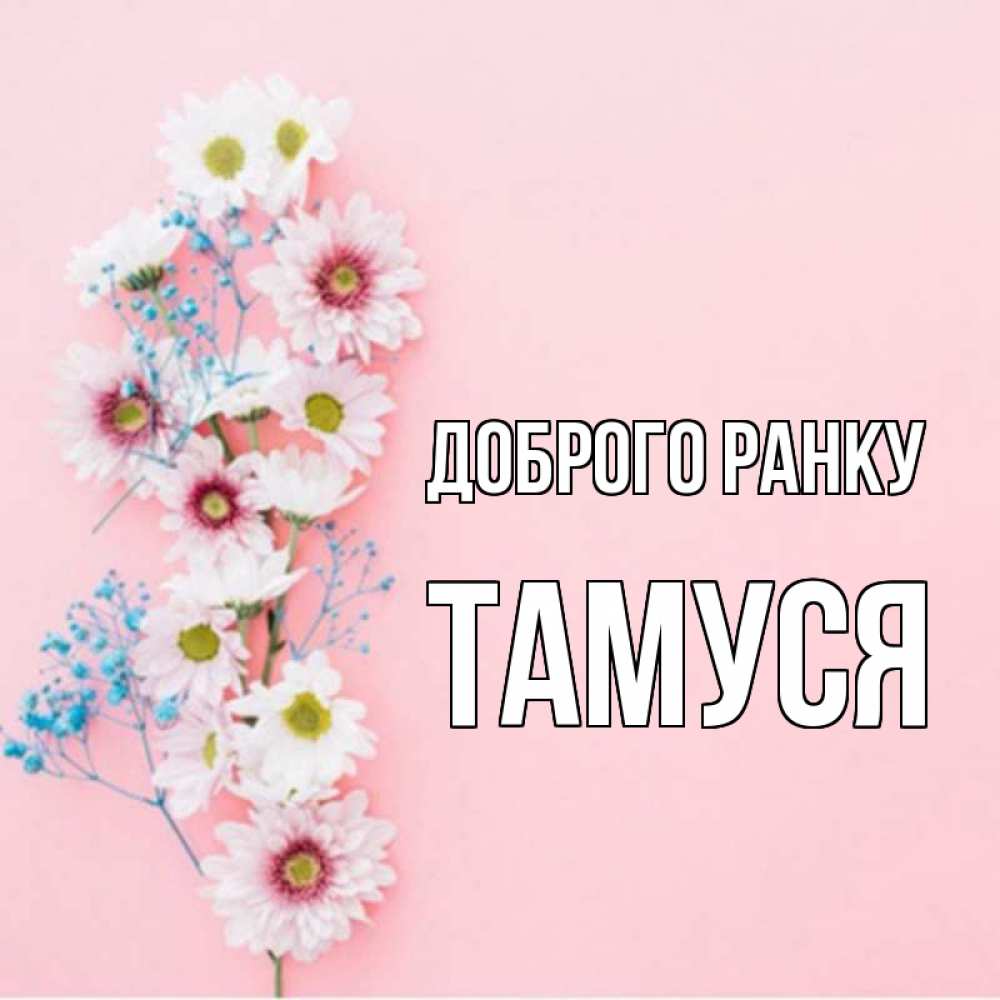 Открытка на каждый день з підписом, Тамуся Доброго ранку цветы с подписью Прикольна листівка з побажанням онлайн скачати безкоштовно 
