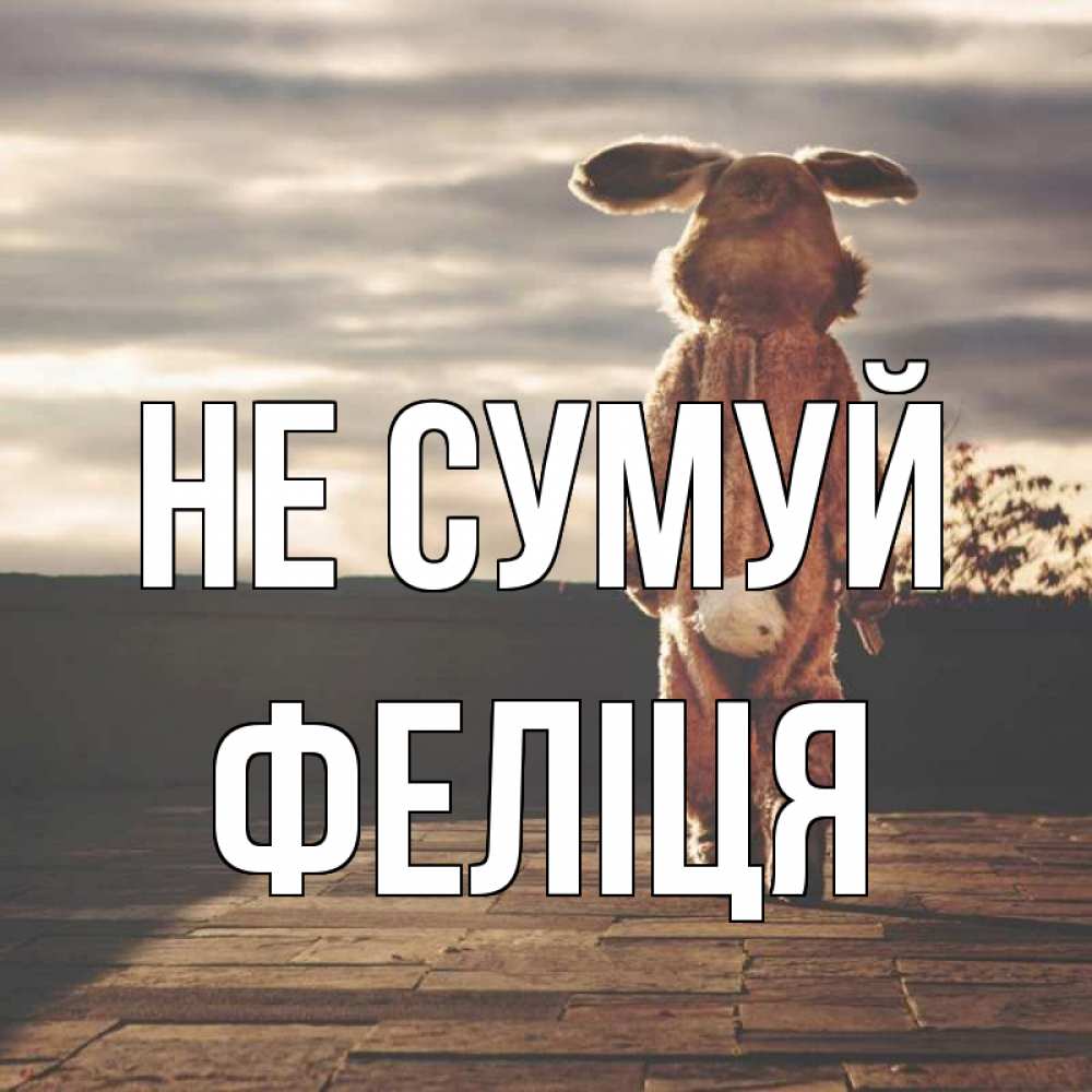 Открытка на каждый день з підписом, Феліця Не сумуй со спины Прикольна листівка з побажанням онлайн скачати безкоштовно 