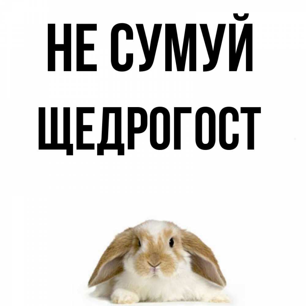 Открытка на каждый день з підписом, Щедрогост Не сумуй коричнево белый заяц с большими ушками Прикольна листівка з побажанням онлайн скачати безкоштовно 