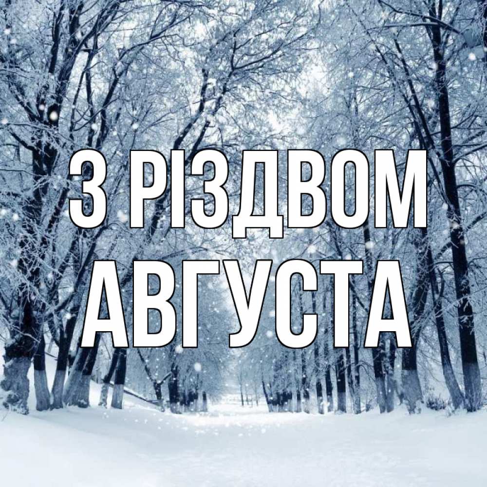 Открытка на каждый день з підписом, Августа З Різдвом снег, лес, парк Прикольна листівка з побажанням онлайн скачати безкоштовно 