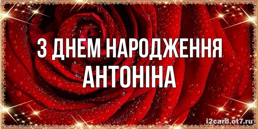 Открытка на каждый день з підписом, Антоніна З Днем народження роса на розе блестящая в лучах солнца Прикольна листівка з побажанням онлайн скачати безкоштовно 
