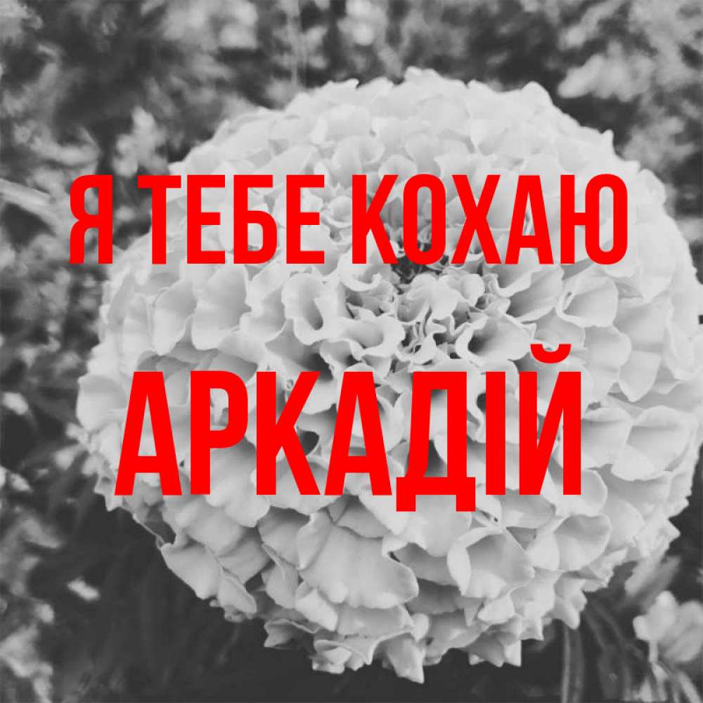 Открытка на каждый день з підписом, Аркадій Я тебе кохаю подпись Прикольна листівка з побажанням онлайн скачати безкоштовно 