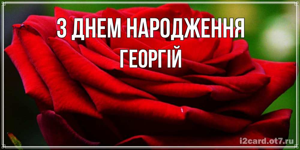 Открытка на каждый день з підписом, Георгій З Днем народження розочка очень красивая Прикольна листівка з побажанням онлайн скачати безкоштовно 