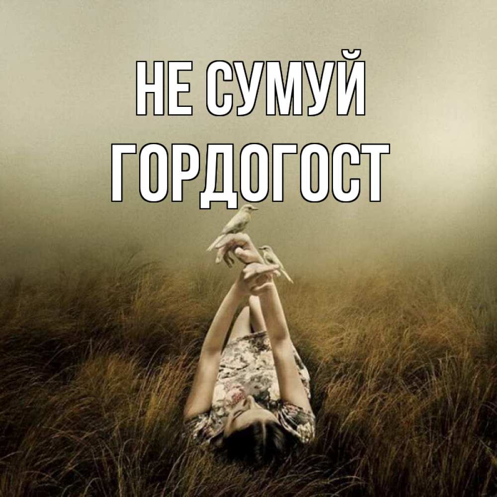 Открытка на каждый день з підписом, Гордогост Не сумуй поле и туман Прикольна листівка з побажанням онлайн скачати безкоштовно 