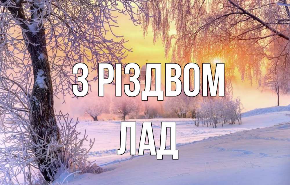 Открытка на каждый день з підписом, Лад З Різдвом рождество, лес, зима 1 Прикольна листівка з побажанням онлайн скачати безкоштовно 