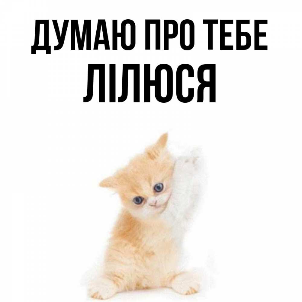 Открытка на каждый день з підписом, Лілюся Думаю про тебе зверушки и милота Прикольна листівка з побажанням онлайн скачати безкоштовно 