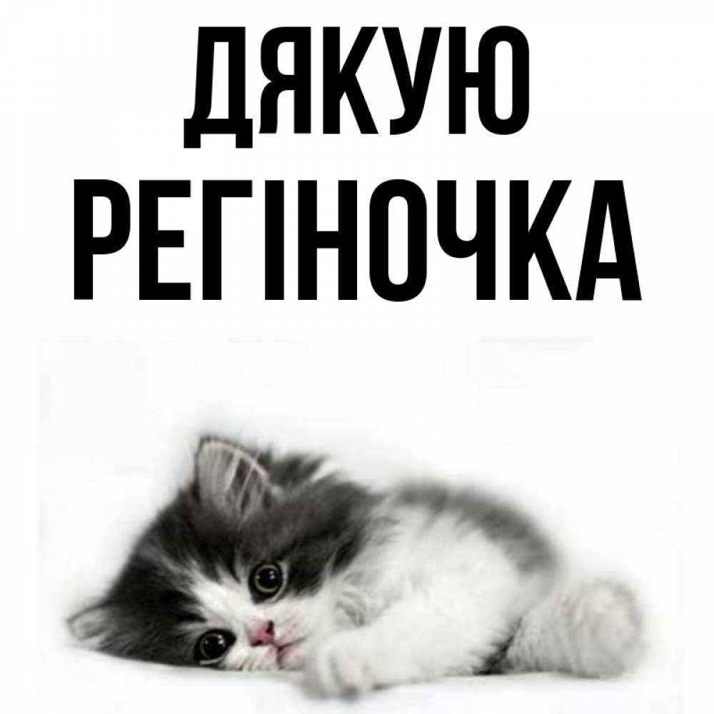 Открытка на каждый день з підписом, Регіночка Дякую черный и белый кот Прикольна листівка з побажанням онлайн скачати безкоштовно 